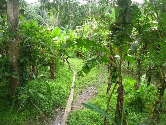 Kekoldi Indigenous Reserve